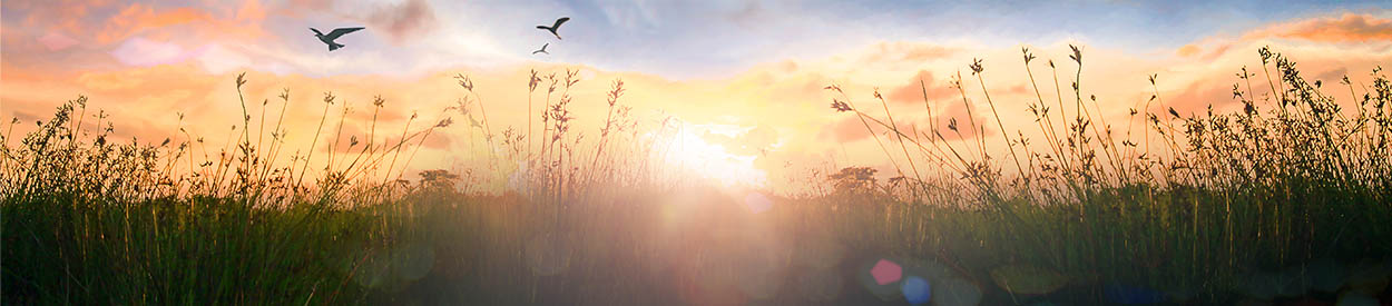 HOMESCHOOL CHRISTIAN COMMUNITY OF EVERETT